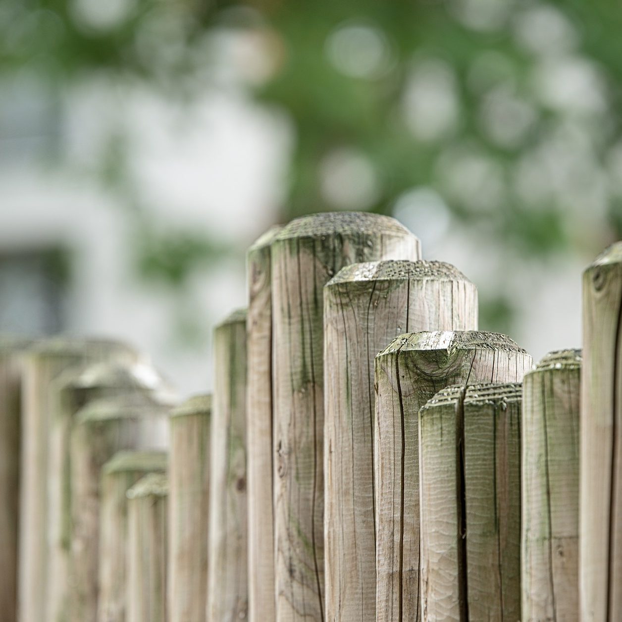 fence